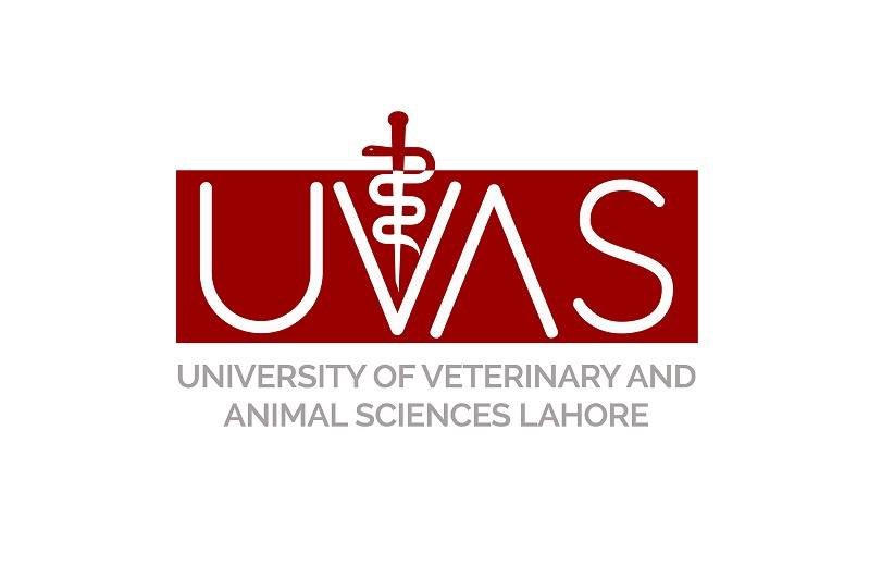 University of Veterinary & Animal Sciences - UVAS Lahore